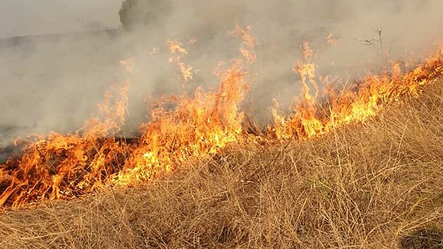 Пожарот на Голем Љубаш изгаснат-Пироманите ке добијат казни според Законот