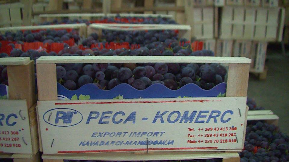 (Видео) Откуп на трпезни сорти на грозје во „Пеца Комерц„-Kавадарци