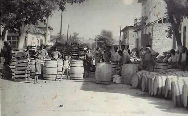 Неготино/ Панаѓур 1956-та
