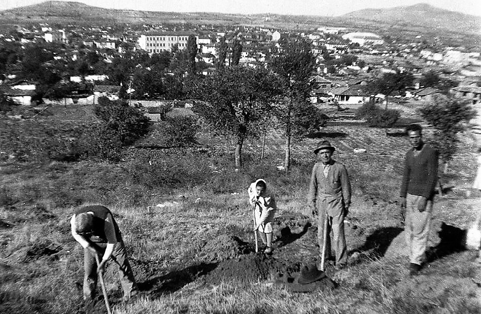 Стари фотографии на Кавадарци-Градски парк Кавадари 1952 година 