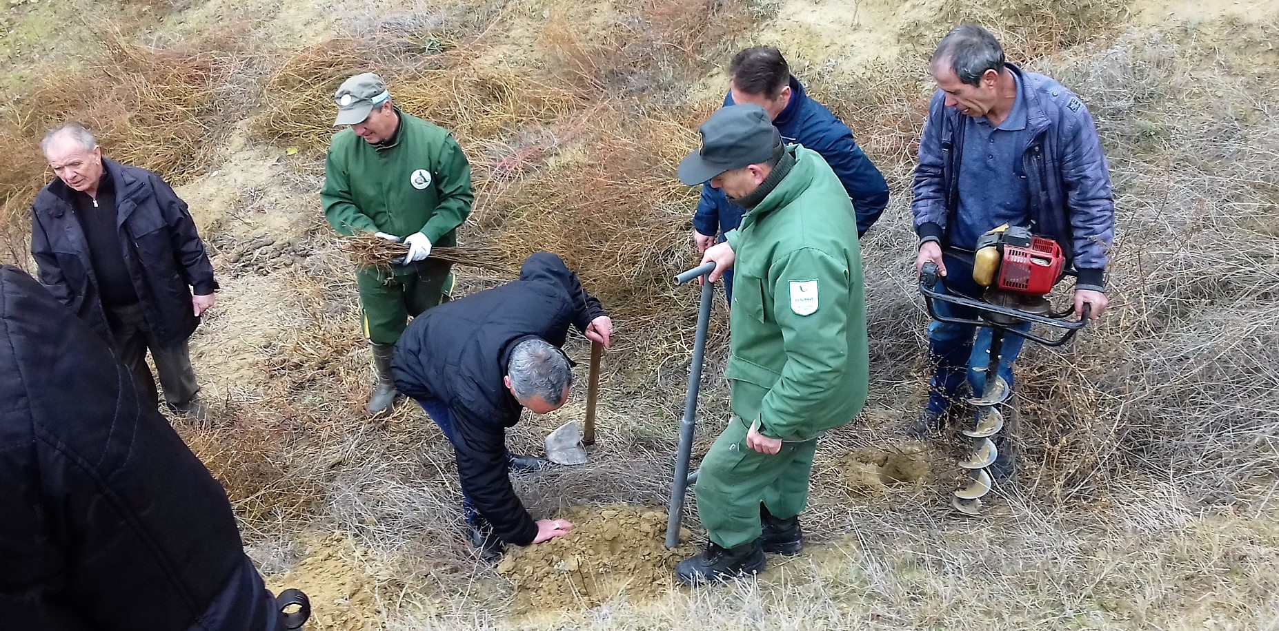 (Видео) Пошумување со 7.000 садници над село Ваташа