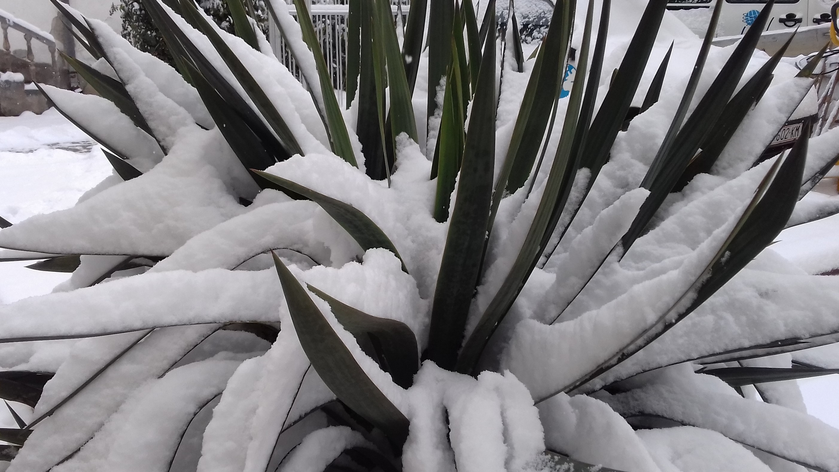 (Видео) Февруарски снег
