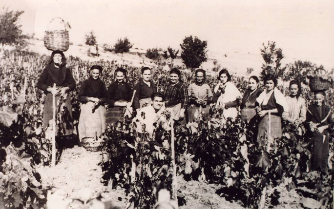 Стари фотографии на Кавадарци-Берби 1934 и 1953 година