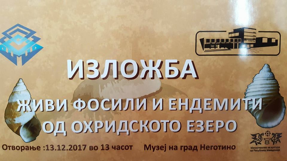 (Видео) Изложба: Неготино /  Живи фосили и ендемити во Охридскот езеро