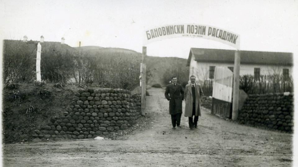 Стари фотографии на Кавадарци- Лозовиот расадник