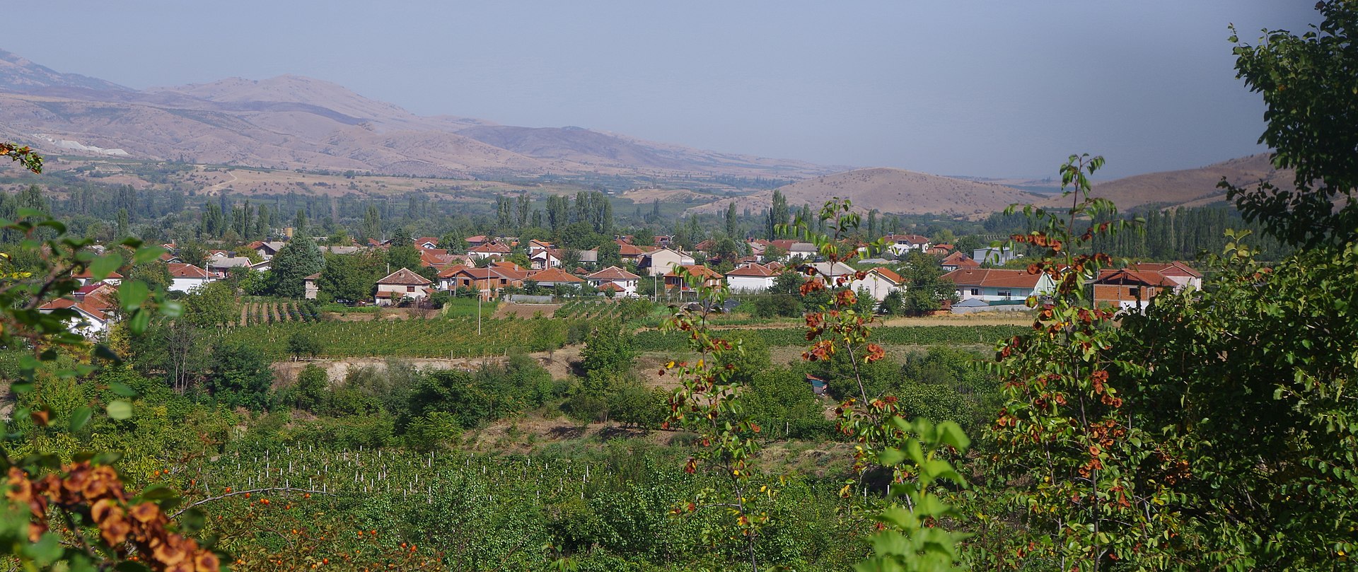 Јавна анкета за село Возарци