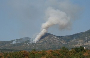 ПОЖАРОТ КАЈ СЕЛО ДЕБРИШТЕ СЕ ПРОШИРИ