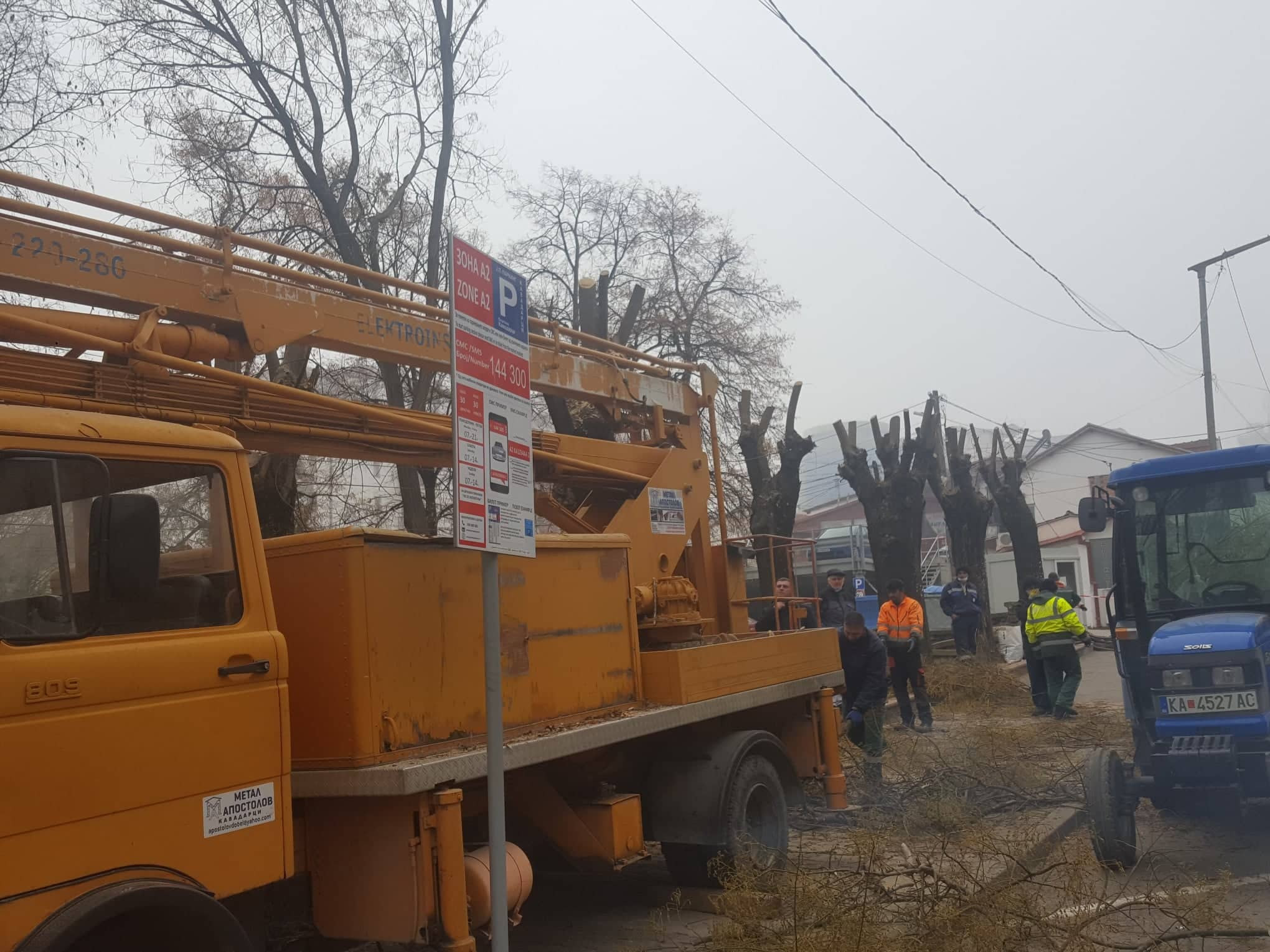 Зимско кастрење на дрворедите 