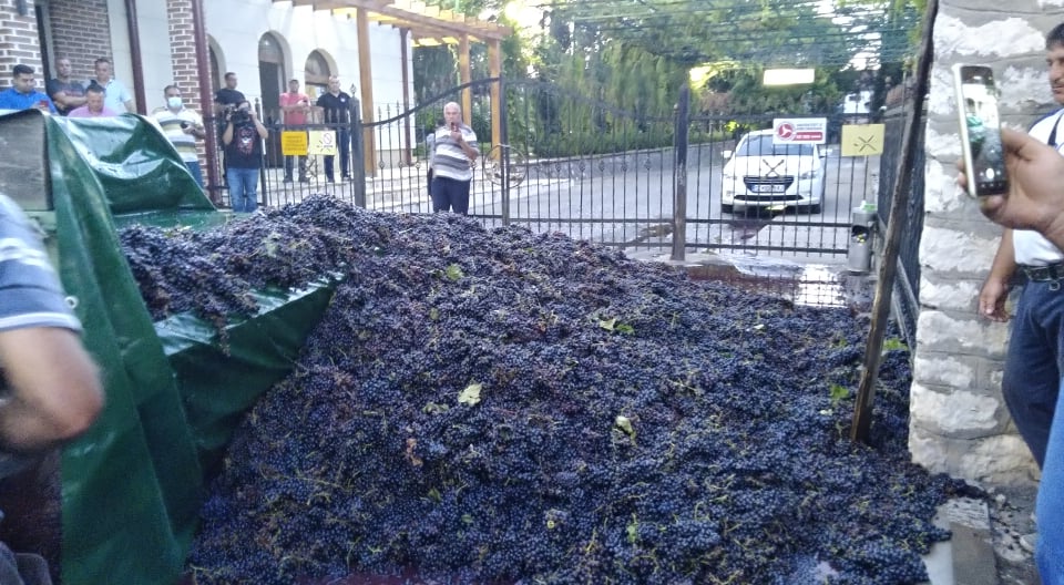/ВИДЕО/ Лозарите го истурија грозјето пред винарската визба ``Тиквеш`` незадоволни од условите за откуп