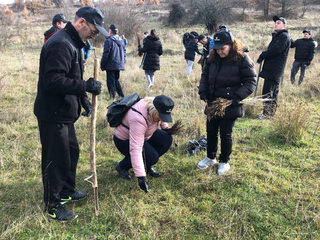 Засадени околу 3500 садници во кавадаречко