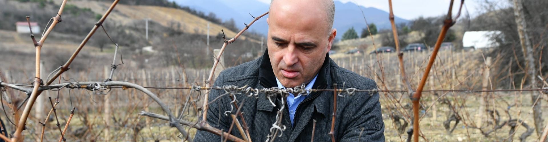СВ.ТРИФУН / Ковачевски:„Се подготвува нов Закон за вино“